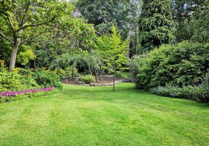 Optimiser l'expérience du jardin à Ouzouer-sous-Bellegarde